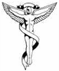 Dr. Hoerr